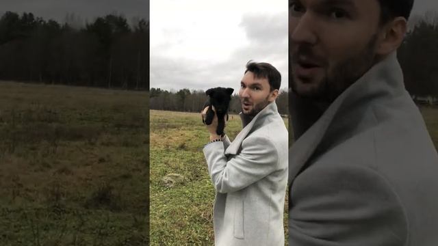 #ЛюбовьДоПУСИнения