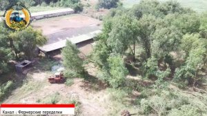 ДТ- 75 валит (корчует) деревья. Как правильно корчевать деревья. Old Soviet tractor rips out trees