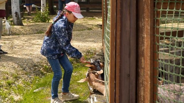 Umama.ru в гостях у «Заповедника»