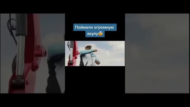 Мег: Монстр глубины