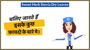 Sweet Herb Stevia Dry Leaves Uses in Hindi | Side Effects | Dose