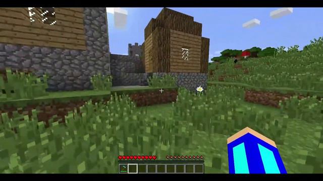 Куда пропала подписчица в minecraft? смотреть онлайн