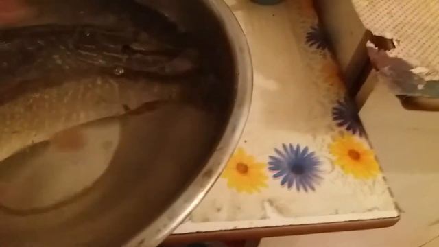 Мой улов на воблер !!! смотреть онлайн