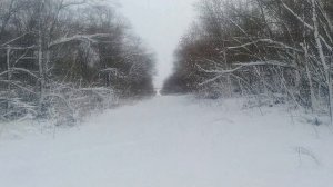 охота на зайца