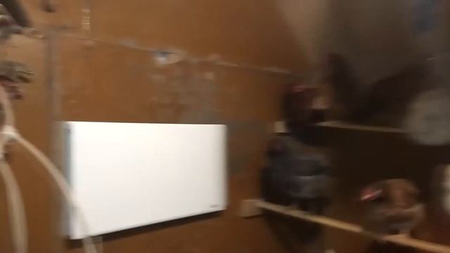 Дешёвый теплый курятник из старого строительного вагончика!