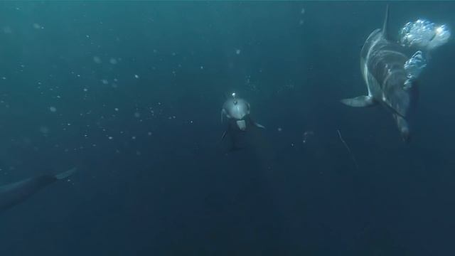 Новости с тонкого плана. Взаимодействие со стихией воды