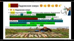 1К В ПАБЛИКЕ!!! ЛУЧШИЕ МЕСТА ДЛЯ ЛОВЛИ РЫБЫ (РЫБАЛКИ)!!!