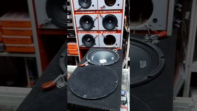 Запуск 25 см эстрадных динамиков DST CM 25.1 от магнитолы без усилителя смотреть онлайн