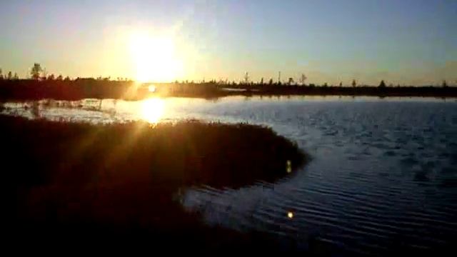 Гнездо Баклана смотреть онлайн