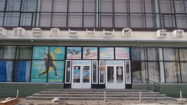 Дельфинарий в Питере - обычный плавательный бассейн смотреть онлайн