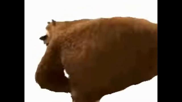 МЕДВЕДЬ тверкает под разные песни(1 часть) смотреть онлайн