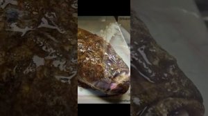 Удильщик - морской дьявол