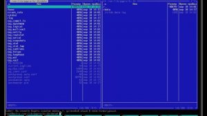 1С на ОС Astra Linux (обзор и установка программ) с СУБД PostgresSQL и Tantor (вебинар 21.03.2024)