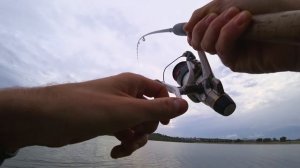 Ловля толстолобика на флэт-фидер: горох в кормушке - толстолобик в садке.