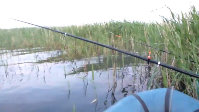 Павел Прокопьев, урефты смотреть онлайн