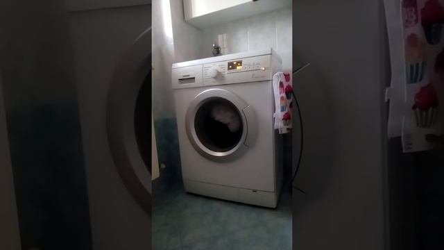 Стиральная машина сименс как снять блокировку