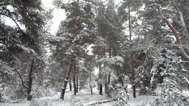 28 января - Павлов день. День Ведунов. Что категорически нельзя делать. Народные приметы и поверья смотреть онлайн