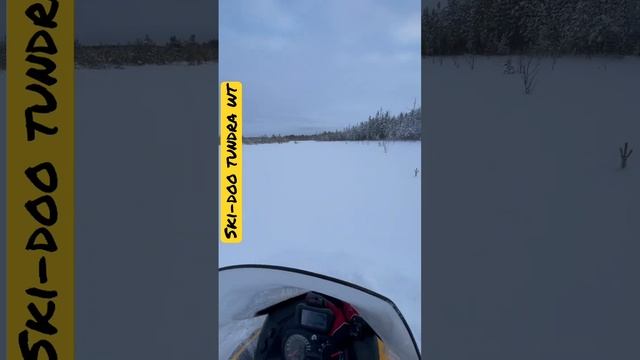 Ski-doo tundra wt. Глубокий снег,