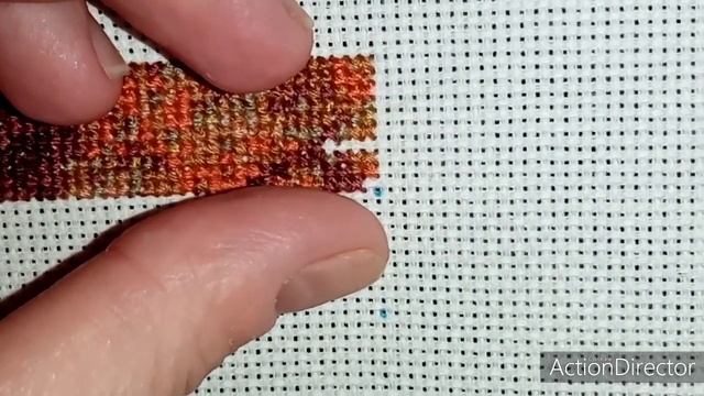 Живой процесс. Камышовый кот.