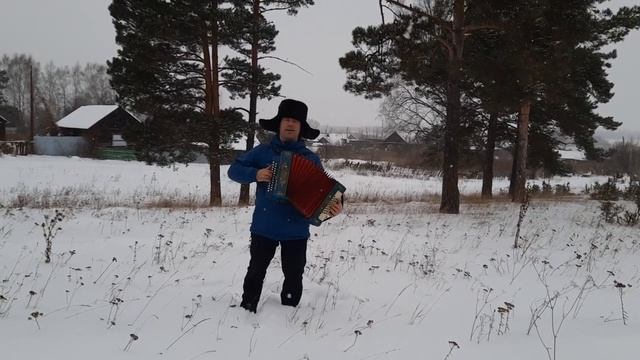 Поёт Андрей Киреев!"Ой, мороз,мороз"#гармонь #тенор смотреть онлайн