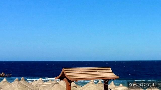 ПЕСЕНКА КРАСНОЙ ШАПОЧКИ. УЧИМ ПОПУГАЯ ПЕТЬ ПЕСЕНКУ. УРОК ДЛЯ ПОПУГАЯ. смотреть онлайн