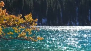 Прекрасная расслабляющая музыка - Хватит думать, Музыка для снятия стресса, Музыка для сна.