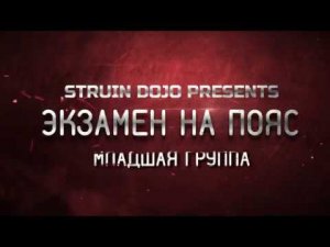 Каратэ дети 7 лет: бои за пояс Киокушинкай в Struin Dojo. Дети до 7 лет. декабрь 2019 год.