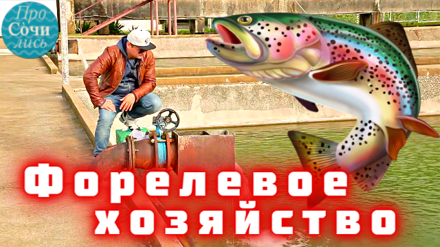 Форелевое хозяйство Сочи Адлер ➤ видео экскурсия ✔цветная форель ✔какая рыба в Cочи ? Просочились