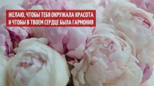 МАРИНА, С ДНЕМ РОЖДЕНИЯ | Видео поздравления для Марины