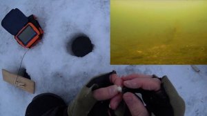 Зимняя рыбалка с подводной камерой Столько рыбы я еще не видел!!!