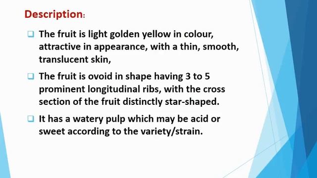 Cultural Tips on Carambola/ Star Fruit/ Karmanga (Averrhoa carambola) смотреть онлайн