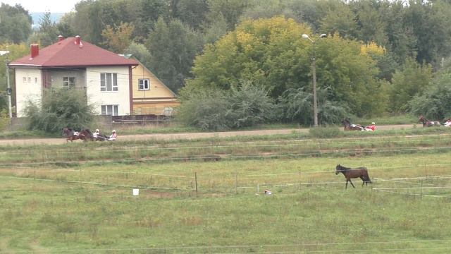 0 Раменский ипподром 11.09.2021 - Кв.з.- Лошади рожд. 2017г и старшего возраста рысистых пород смотреть онлайн