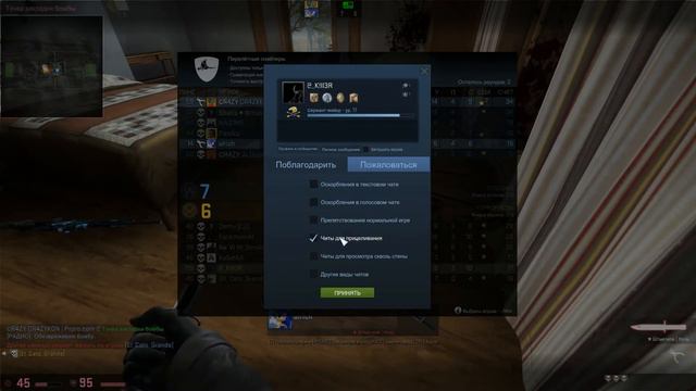 CS GO - # 85. Перелетная IriShka в деле. смотреть онлайн