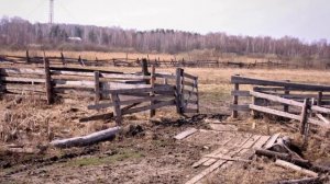 Никто не знает про Сибирь/NOBODY KNOWS ABOUT SIBERIA