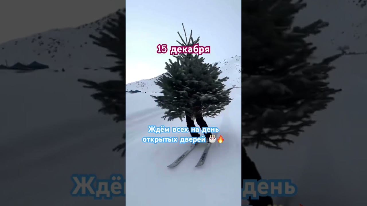 УЛЫБКА МЕЧТЫ ДО НОВОГО ГОДА  +7(495)108-11-49 #стоматологиямосква #стоматолог #лечениезубовмосква