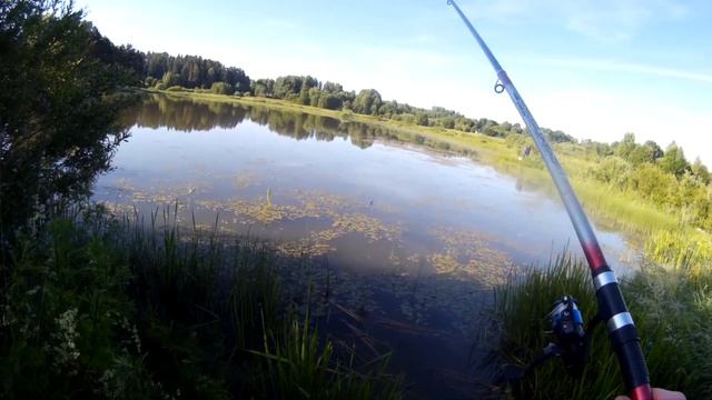 ДЕВУШКА НА ПИТБАЙКЕ ПОЕХАЛА НА РЫБАЛКУ |БЕШЕННЫЙ КЛЁВ| смотреть онлайн