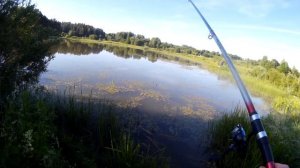 ДЕВУШКА НА ПИТБАЙКЕ ПОЕХАЛА НА РЫБАЛКУ |БЕШЕННЫЙ КЛЁВ|