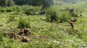 Застава, в ружьё! Гитара плач