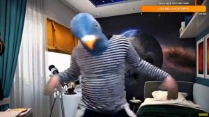 Безбашенный голубь танцует)