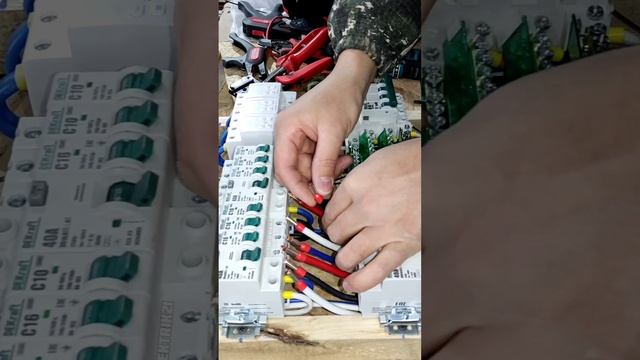 Заряжаем НШВИшки под умные мысли.mp4