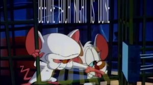 Pinky and The Brain Intro