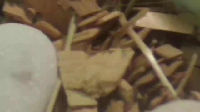 2 часть видео про кормление смотреть онлайн