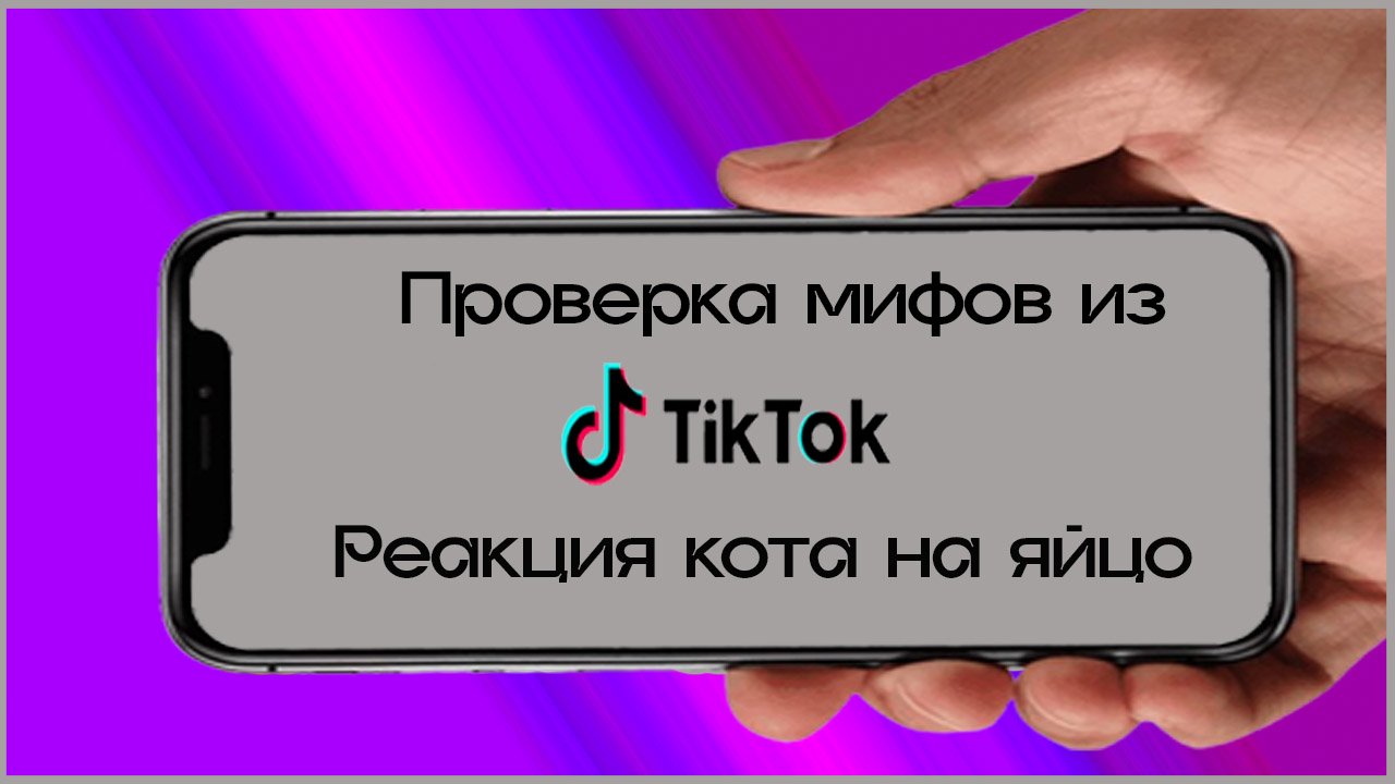 Тумка проверка мифов Тумка проверка мифов