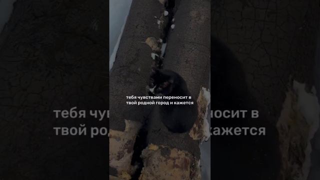 Время остановилось смотреть онлайн