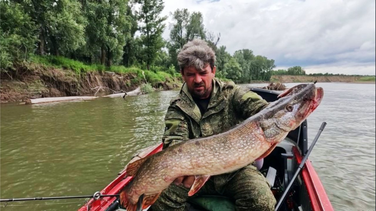 Не трофей, но все - же ! Рыбалка на Оби ( Сузун ) 23 июля 2023 г.