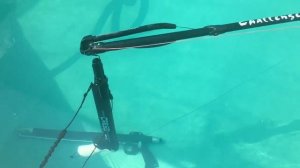 Обзор плавучести ружей для подводной охоты