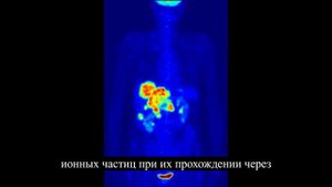 Неатомный мюон, новый клич в физике:   روسى
