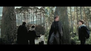 Киноляпы: Гарри Поттер и узник Азкабана (2004)