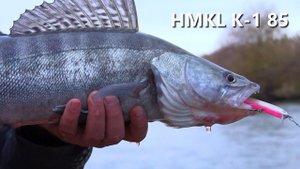 HMKL K 1 85, Судак