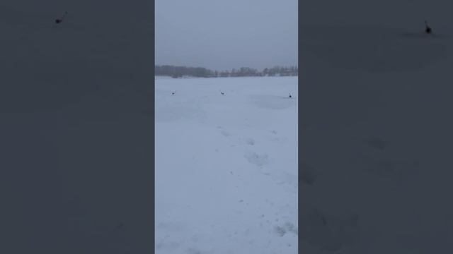 Рыбалка ) смотреть онлайн